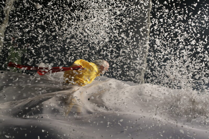 SLAVA'S SNOWSHOW